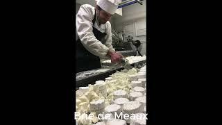 Brie de Meaux #Charlemagne #unpasteurized #creamy #soft #French