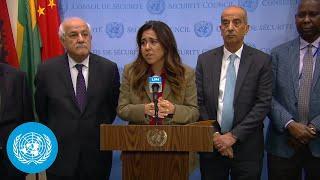 UAE, Palestine, Egypt & Others on UN Security Council Resolution on Palestine | United Nations