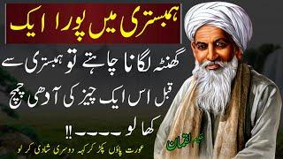 Aqwal e Zareen In Urdu|Hakeem Luqman Quotes|Alfaz Ka Kamal