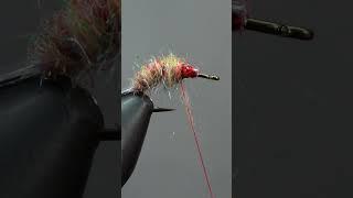 Can't Believe THIS Fly Catches Fish! — Fly Tying in 60 Seconds