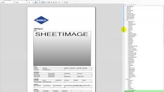 Customize IGEMS Report