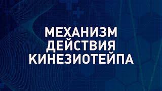 Как работает кинезиотейп | Механизм действия кинезио тейпа