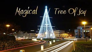 Guernsey's Magical Tree Of Joy at Christmas