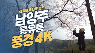 【풍경tv】이런 곳이 있었네! 남양주 홍유능 둘레길 풍경 4k