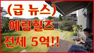 긴급 속보)예림힐즈 전세5억!!용인 처인구 오산리(죽전생활권)1월 이사예정~~실내 아래 더보기 참고!!전원주택 전세,타운하우스 전세