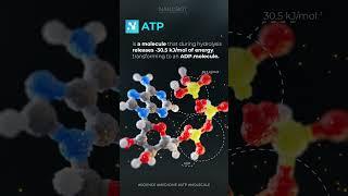 ATP #reels #science #shorts