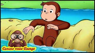 Curioso come George  Salvate i Pesci  Cartoni Animati per Bambini   Episodio Completo