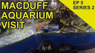 Marine UK Native Aquarium: Chasing Scales Species Hunt (EPISODE 25)