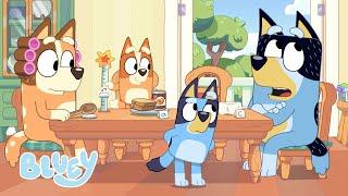 Qui a fait du fluffing ? | Réunion de famille | Bluey Français Chaîne Officielle