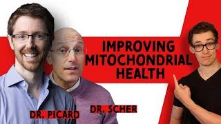 3.5 Keys to Improving Mitochondrial Health