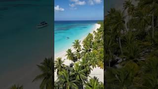 Остров Саона, Доминикана 2025 - iDominicana.com