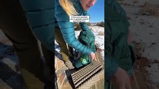 How to Pack Your Backpacking Pack #hikingadventures #backpacking #camplife #backpacker #outdoorsy