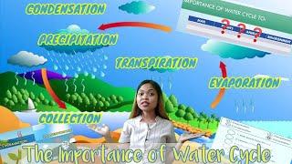 The Importance of Water Cycle | Grade 4 Science | Quarter 4, Week 3