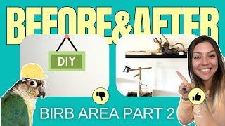 How to Create a DIY Bird Area at Home