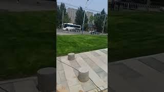 устройство газона в Китае, укрытие семян соломой, один из методов, благоустройство, озеленение.