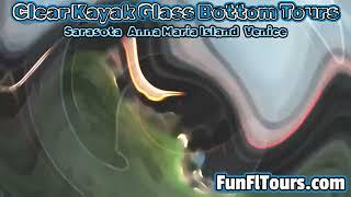 Glass Bottom Tours Clear Kayak Sarasota Anna Maria Island Venice SRQ Florida things to do