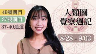 人類圖覺察週記｜08/28-09/03｜Yoko Tarot