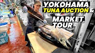 Yokohama Morning Market Experience | Maguro Breakfast, Tuna Auction & Carving