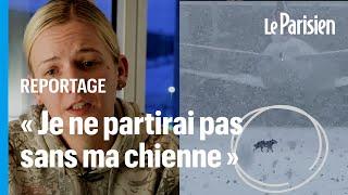 Cette touriste cherche depuis des jours sa chienne perdue à l’aéroport Charles-de-Gaulle