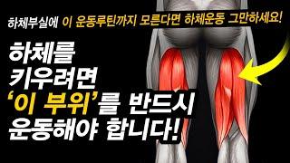 선명한 하체 근육을 키우는 가장 빠른 방법!? [종아리, 햄스트링]