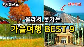 서울근교 당일치기 여행지 9곳 (전부 무료!) /9월 10월 가을 경기도 가볼만한 곳 국내여행 드라이브