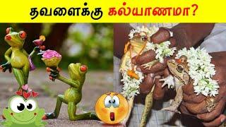 தவளைக்கு கல்யாணமா? | Facts in Tamil_Facts in Minutes_Minutes Mystery_Info Bytes #Shorts