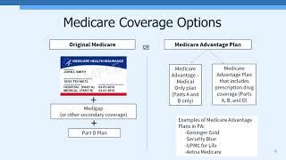 Health Care for Older Adults