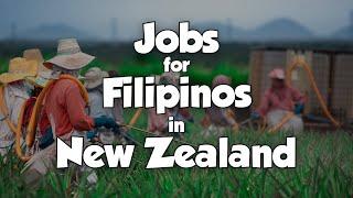 12 Most In-Demand Jobs for Filipinos in New Zealand