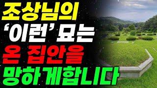 이런 조상묘는 반드시 후손을 병들고 망하게 합니다-아주 쉬운 명당 묘지 확인 방법