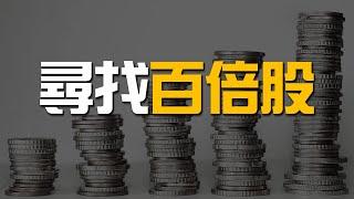 如何識別與投資百倍股 | How to Invest in 100 Baggers Stock | 百萬書閣 THEMBS