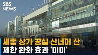 세종 지역 상가 공실 산너머 산…업종 제한 완화 효과 '미미' / SBS