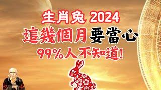 2024甲辰龍年，生肖兔，要出事的月份！要警惕！運勢好的月份是幾月？需要提前掌握！千萬要注意！2024年生肖兔運勢 | 2024年生肖兔運程 |生肖兔運勢|生肖兔運程|屬兔運勢|屬兔運程