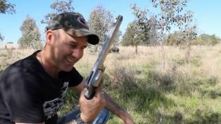 460 S&W vs Wild Boar