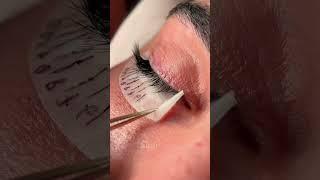 Lashing like a pro with premium lash extensions | Lash Flash