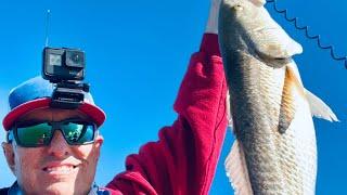 Z Man Diesel Minnow limit of Redfish.