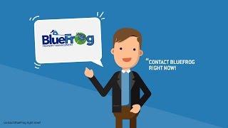 Motion Character Explainer Video for Blue Frog Property Management