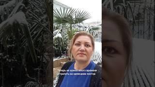 Заходи в бота и пользуйся GPThttp://t.me/Daria13948_bot
