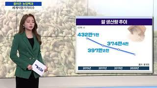 [풀어쓴 농업백과] 세계식량가격지수
