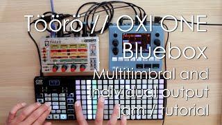 Töörö multitimbral synth, with OXI ONE and Bluebox