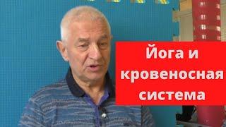 Йога и кровеносная система: анатомия и травмы