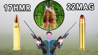 17HMR vs 22MAG Hunting!