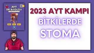 Bitkilerde Stoma AYT Biyoloji Kampı Konu Anlatımı/ 12.Sınıf 2024 Tayfa