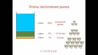 Как выбрать МЛМ компанию?