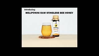 MELIPONINI RAW STINGLESS BEE HONEY - As Powerful as Manuka Honey with Higher Antioxidant Content.