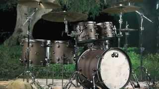 Timeless Timber (Romanian River Oak) DW Drums