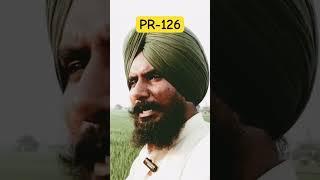 PR-126 Paddy Details | ਝੋਨਾ ਪੀ ਆਰ-126 | PR 126 Variety | PR 126 Jhona | Professor Saab Vlogs #pr126