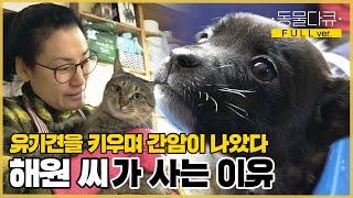 [풀버전] 유기견을 키우며 간암을 극복한 해원 씨, 차고지에서 만난 새끼 강아지들이 눈에 밟히는데.. | 내가 사는 이유 | KBS 인간극장 2018 방송