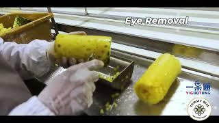 Pineapple process Canned Pineapple Production Line