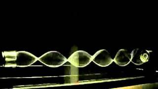 Standing Waves Generated by String Vibration