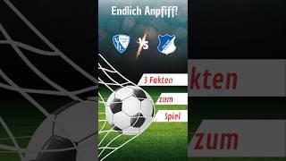 Bochum gegen Hoffenheim 3 Fakten #bochum #hoffenheim #bundesliga #shorts #spieltag #tipps